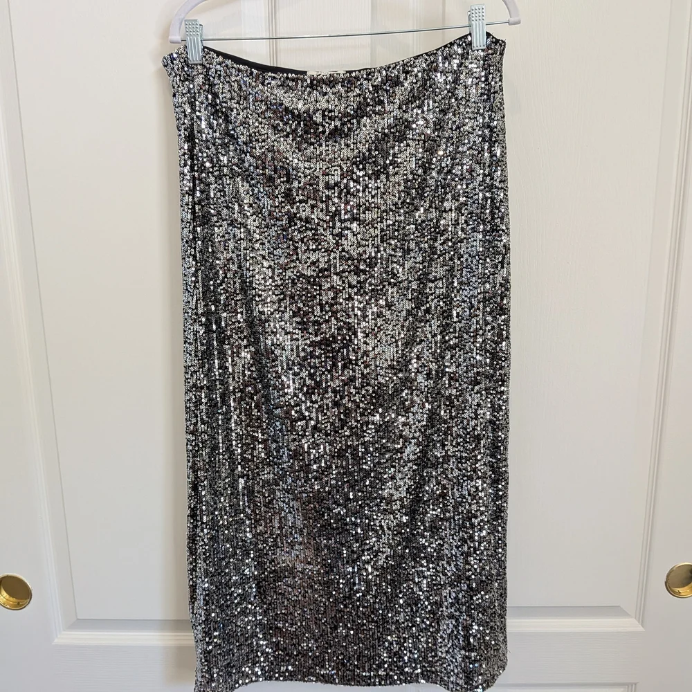 Z Supply Shimmering Silver Sequin Pencil Skirt